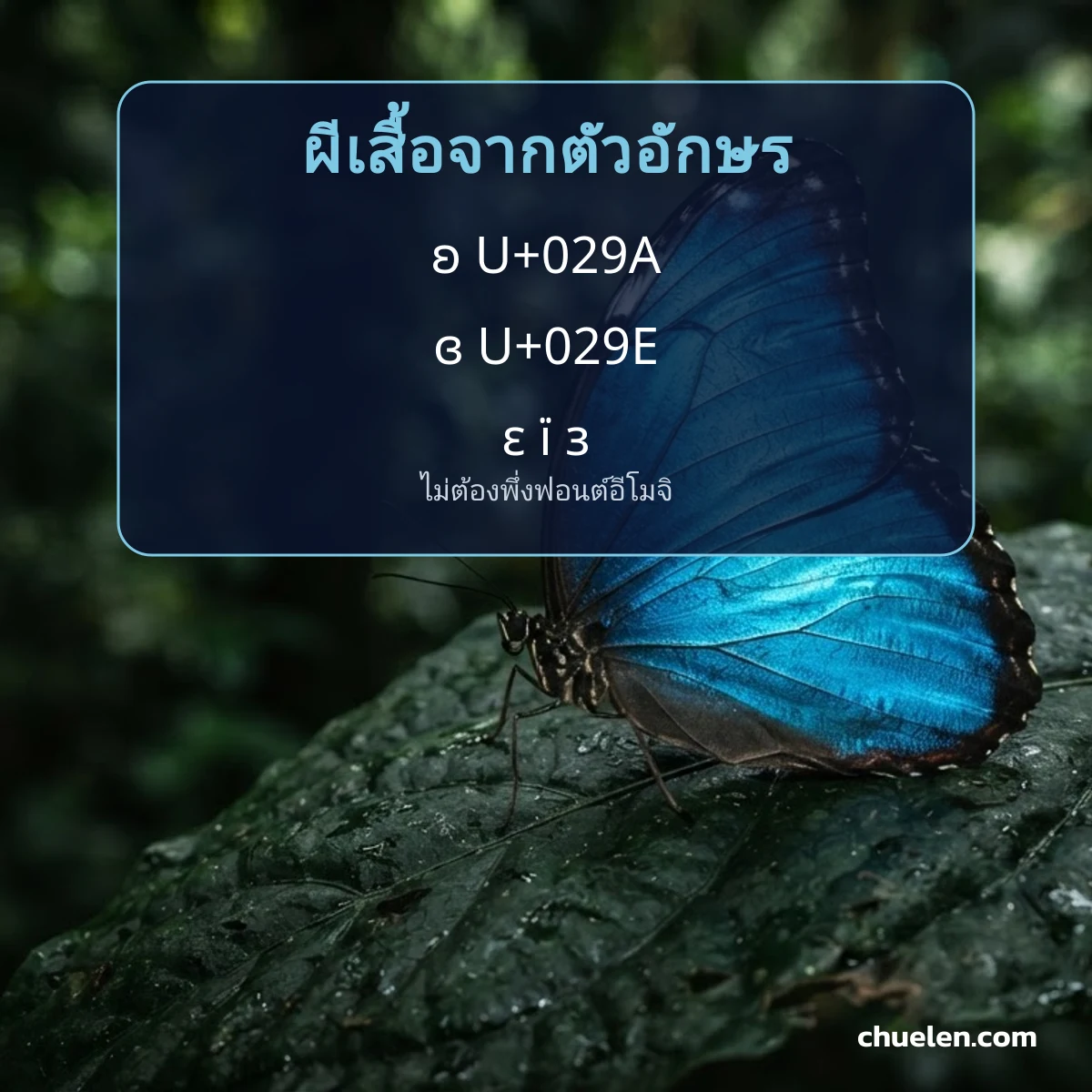 ผีเสื้อจากตัวอักษร ʚ และ ɞ พร้อมรหัส