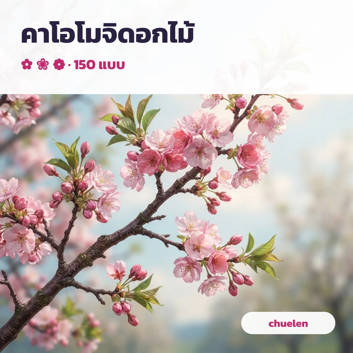 คาโอโมจิดอกไม้หน้ายิ้มในสวนสีพาสเทล