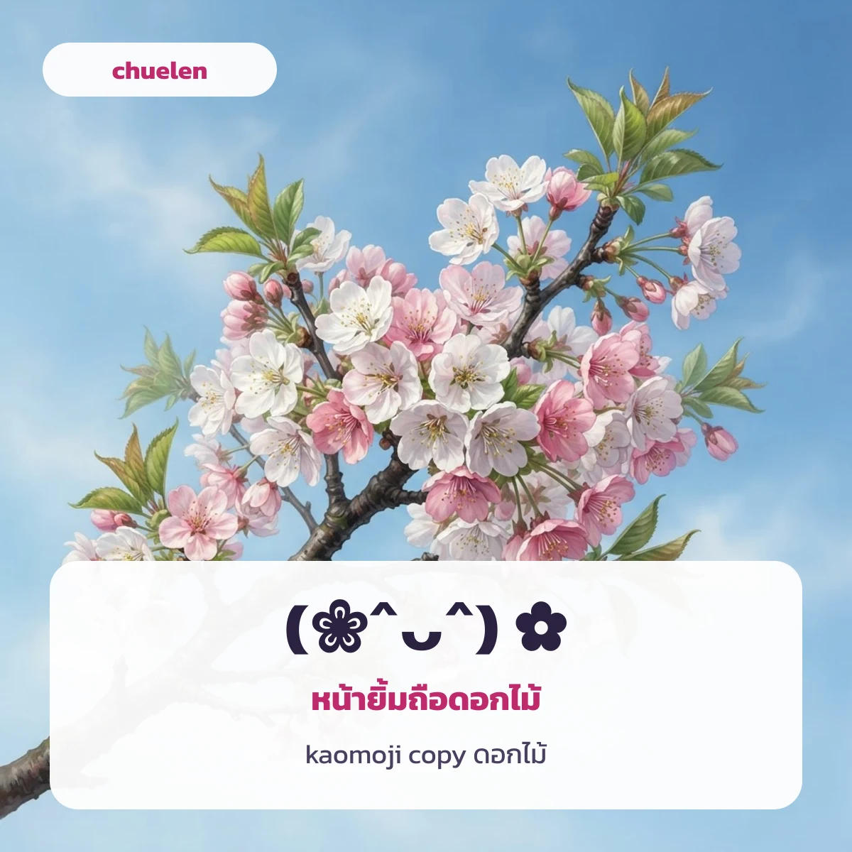 kaomoji copy ดอกไม้ แบบเขินอายประดับกลีบดอก