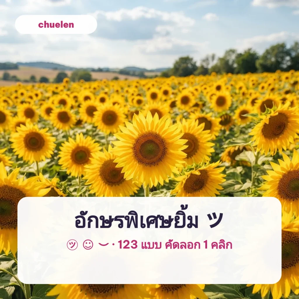 ทุ่งทานตะวันใต้ฟ้าใส ภาพปกอักษรพิเศษยิ้ม