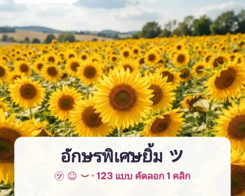 อักษรพิเศษยิ้ม ◡̈ น่ารัก